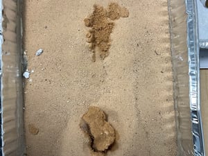 4th Grade Weathering 3